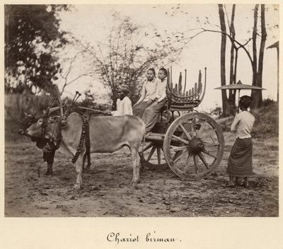 Carro tirado por dos bueyes en Mandalay, Birmania, c.1885 de English Photographer